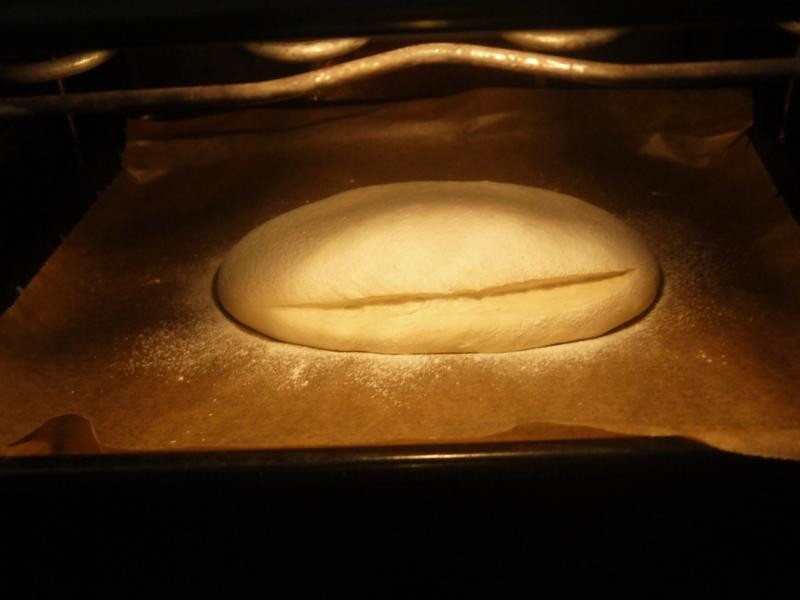 �Ÿ����������