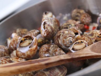 �������ݵ�����