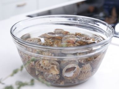 �������ݵ�����