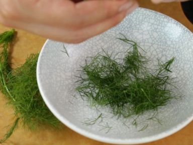 ������Ѭ���������ɳ��������