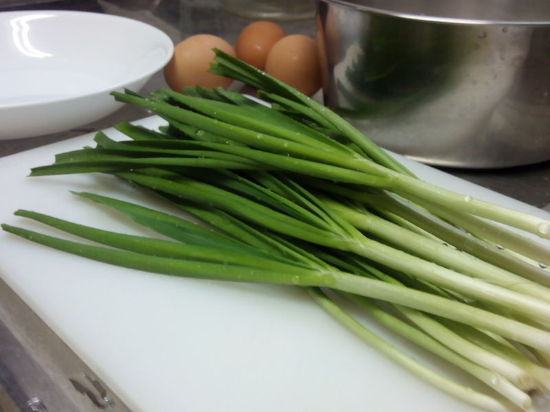 ���²˺��ӵ�����