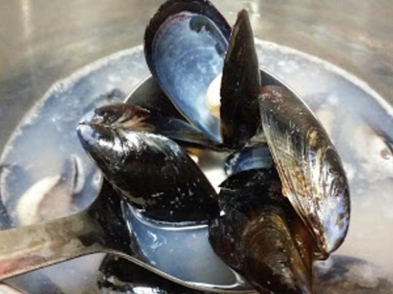 ��򺣴���?????������