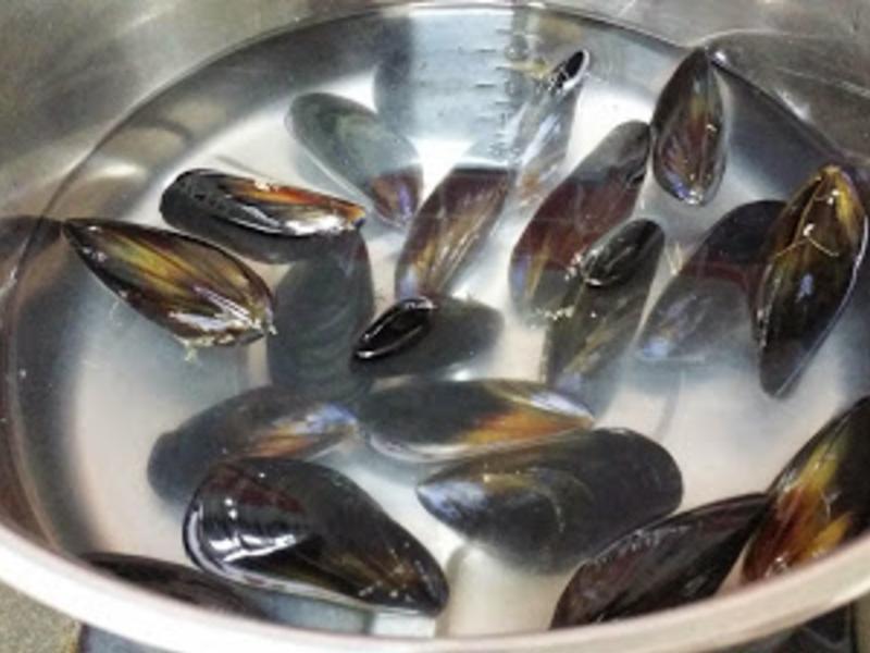 ��򺣴���?????������