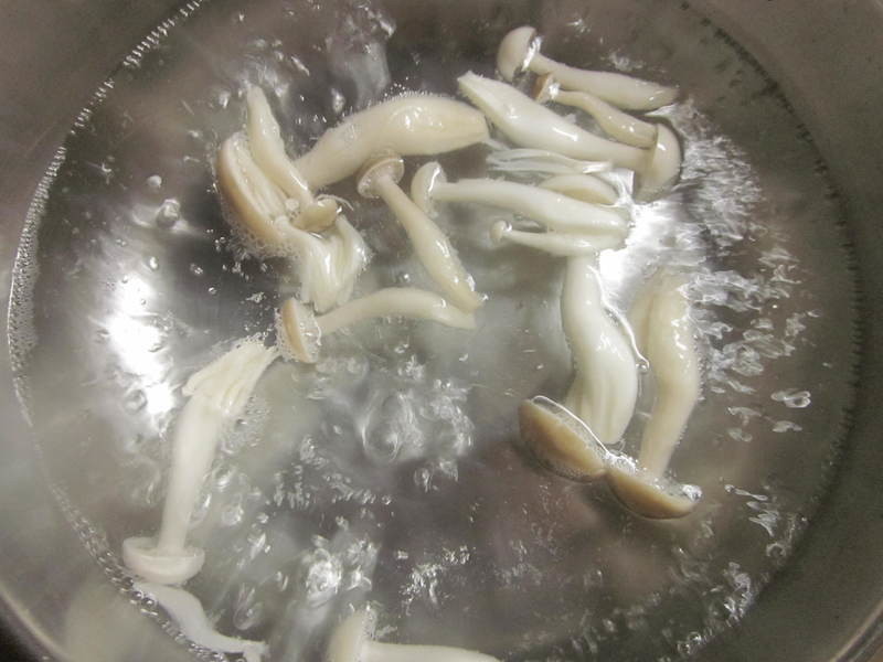 �ͷ繽��ħ�����������