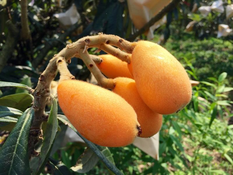 Ũ�����⡾�ͼ�÷�������ˡ�������