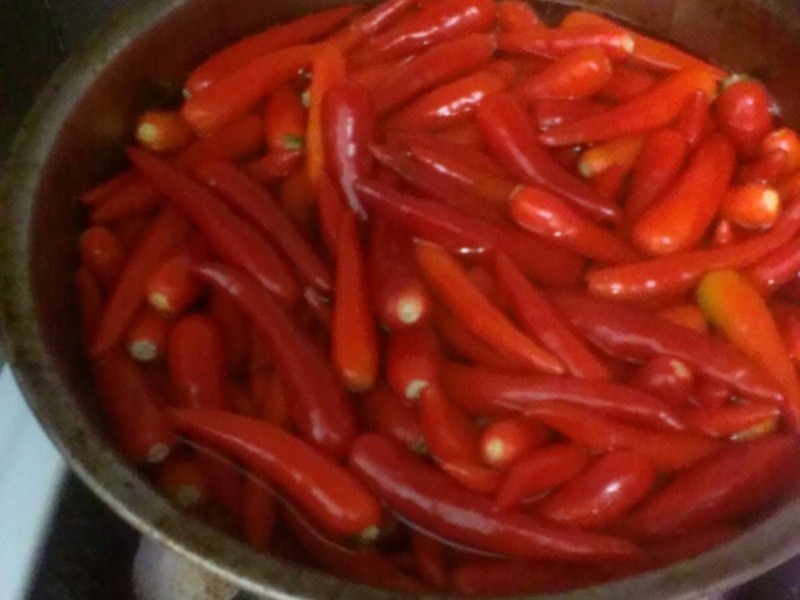 �洫������������