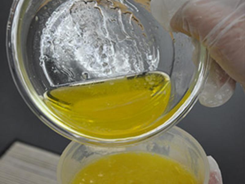 õ����Խݮ�ն����������