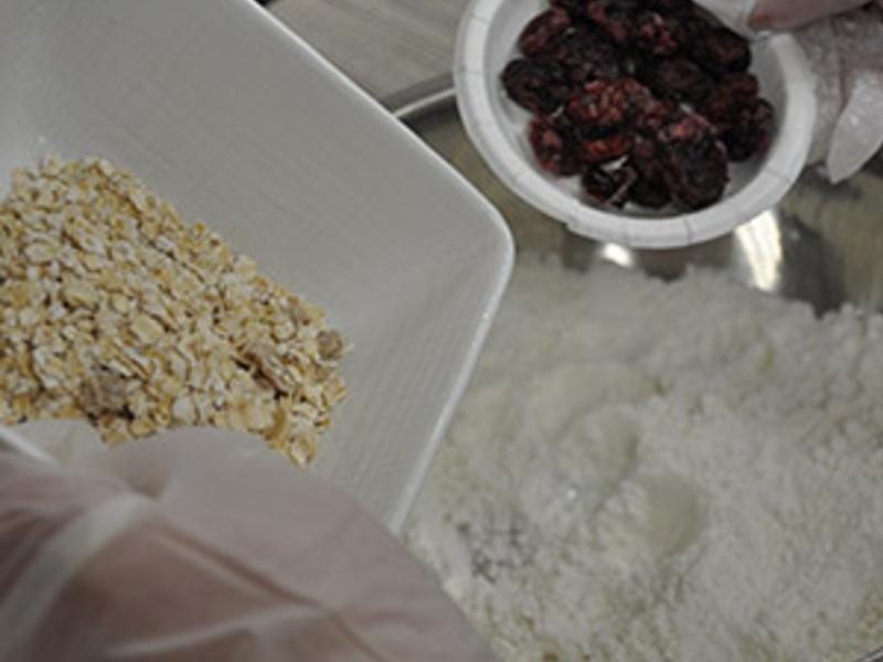 õ����Խݮ�ն����������