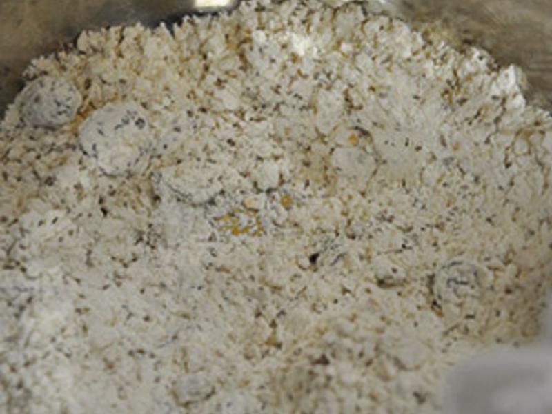 õ����Խݮ�ն����������