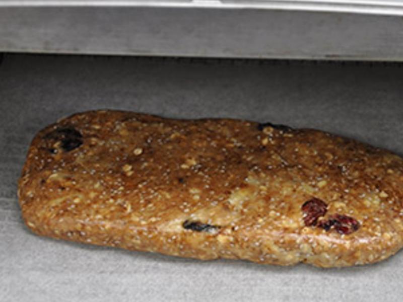 õ����Խݮ�ն����������