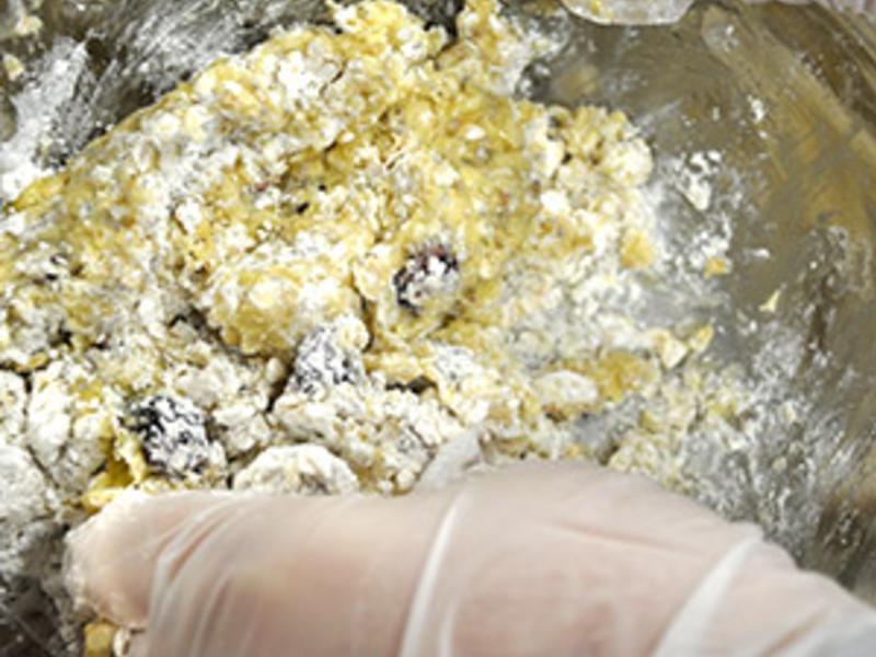 õ����Խݮ�ն����������