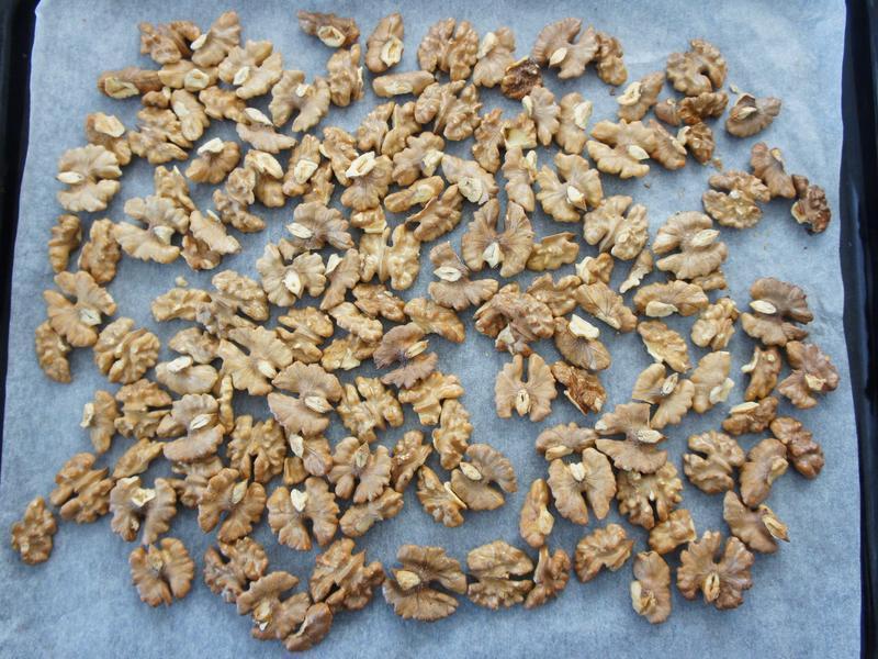 ��������Ĩ��������