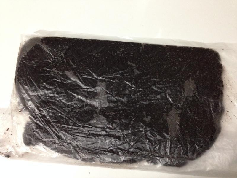 ��Oreo���ı��ɡ��⿾��!������