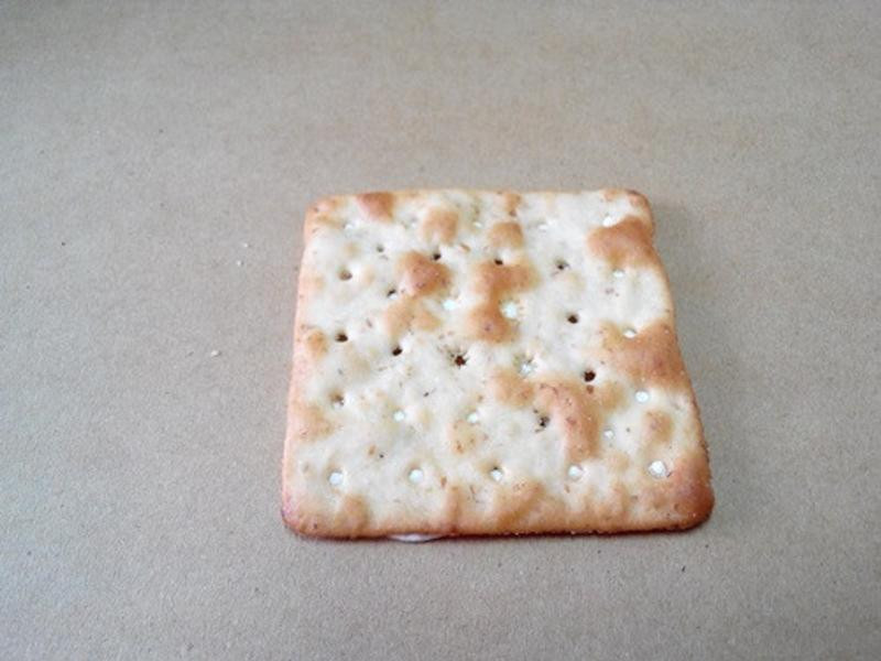 ��Ȼ���ս���С�ݡ���Ȼ���ձ���ſ��������