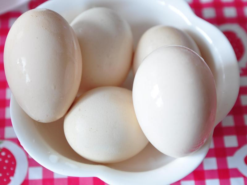 ��������ĵ�������