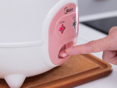 �緹����ʽ֥ʿ���������