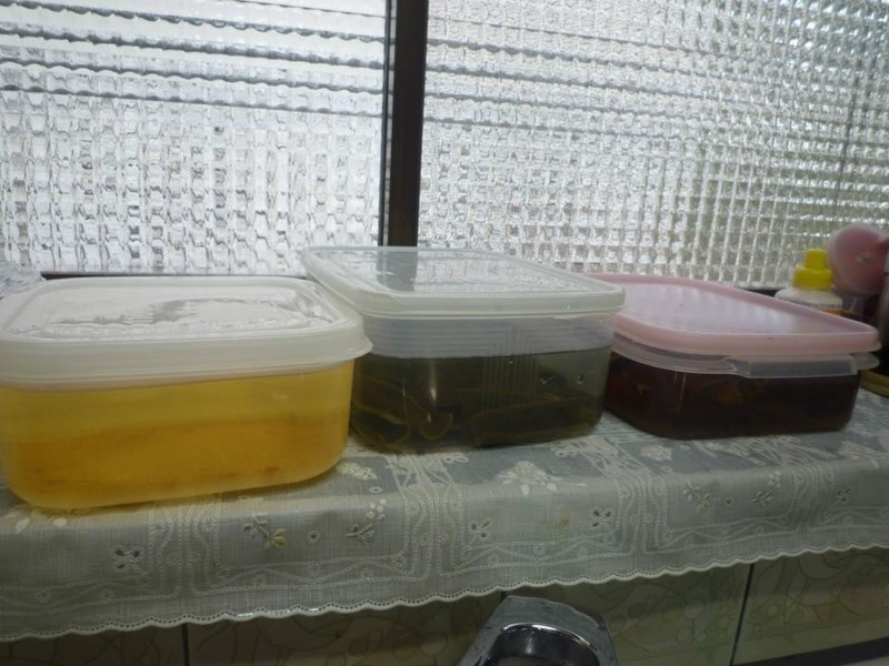 .? :??.��ʽ��ˤΤ��֤Ȥˤ󤸤�Τʤޤ�.? :??.?������