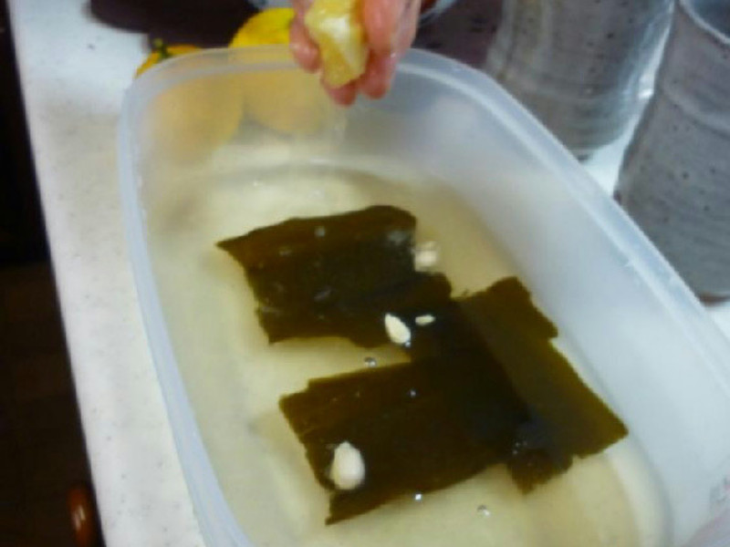 .? :??.��ʽ��ˤΤ��֤Ȥˤ󤸤�Τʤޤ�.? :??.?������