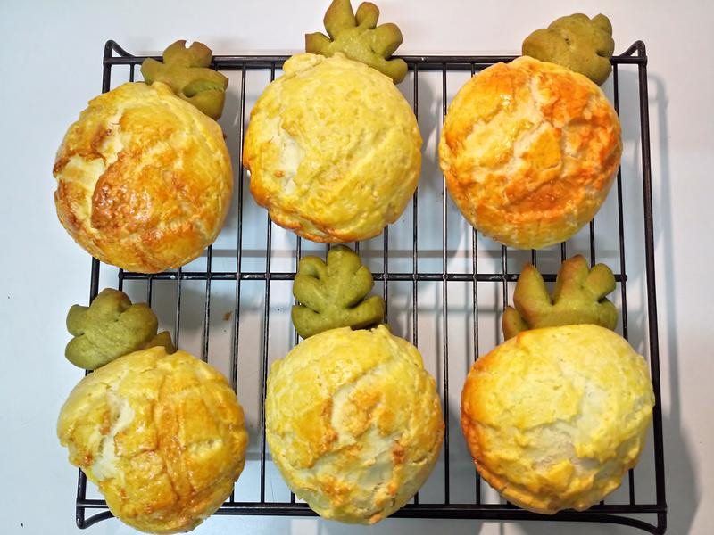 ���ַ��沤�����������