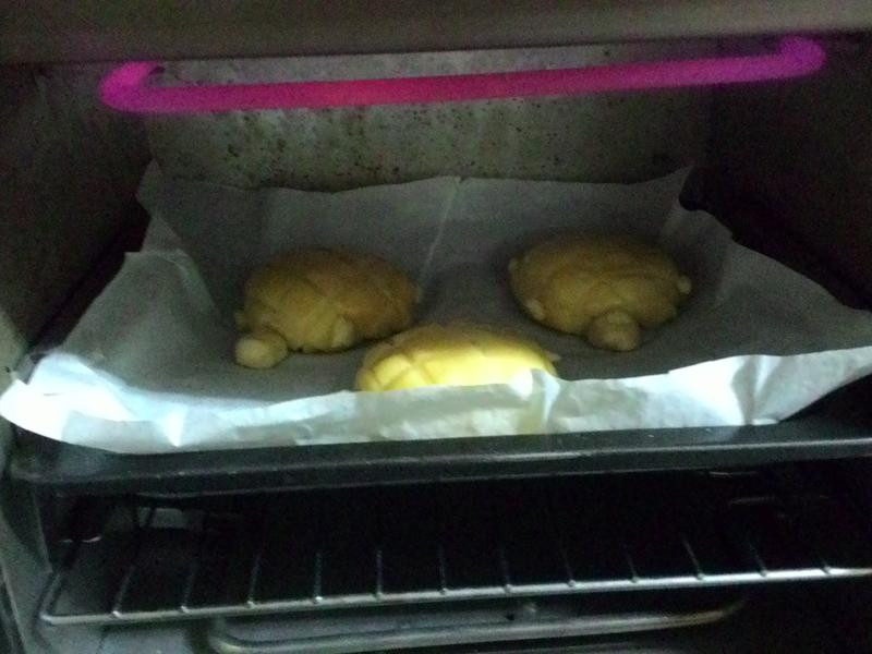 �����Ÿ��ܵ�����