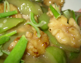 ����˿�ϵ�����