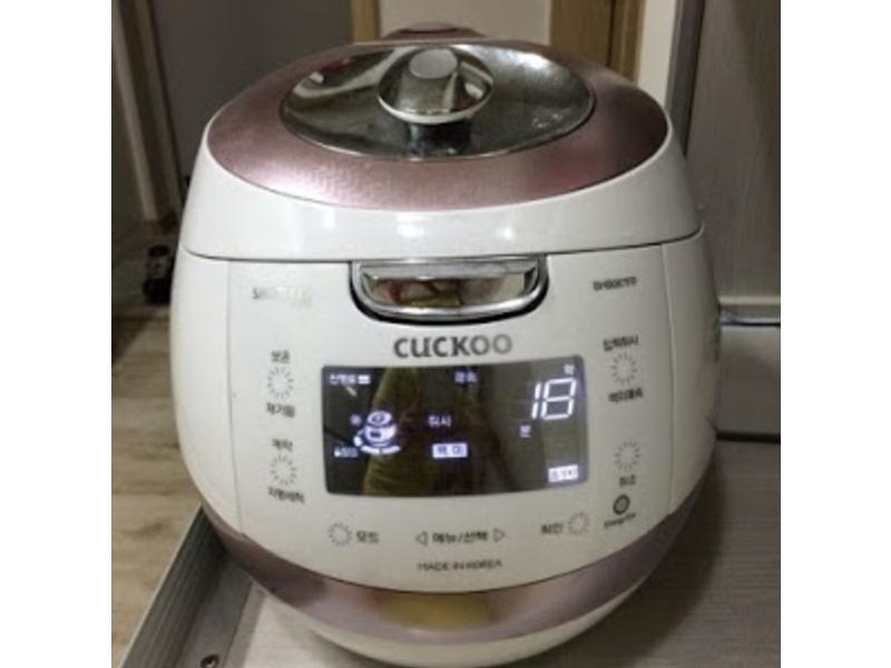 ��ʽţ�ⶹѿ��������