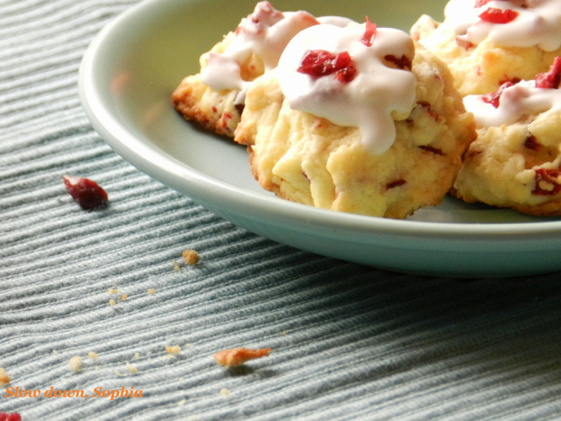 ��Խݮ��˪С���ɵ�����