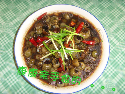 ����˿�ݵ�����