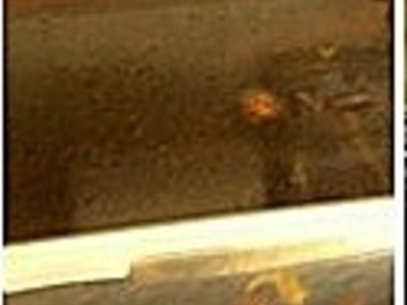 ��������������