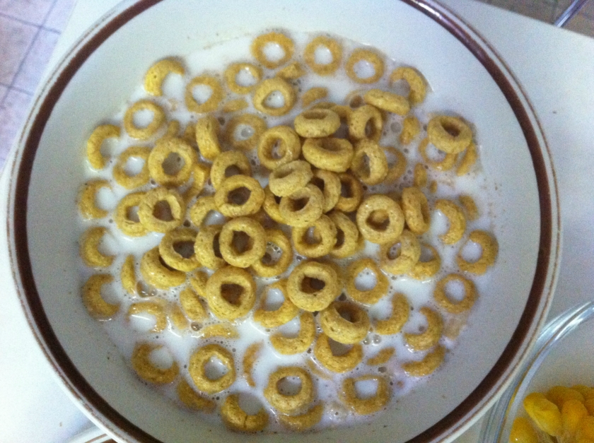 ����Ȧ���̵�����