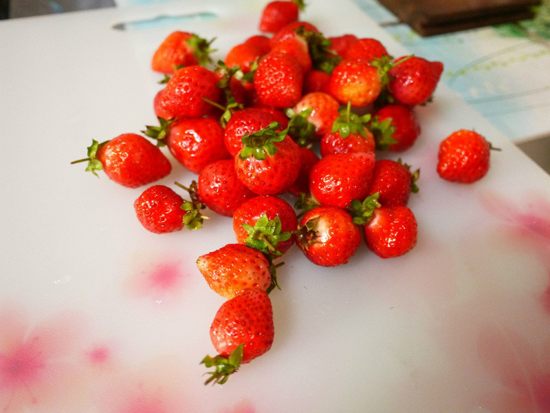 ����ݮ�Ͱ�ӥ�����̡�һ������֮��ݮ�����ɱ�������