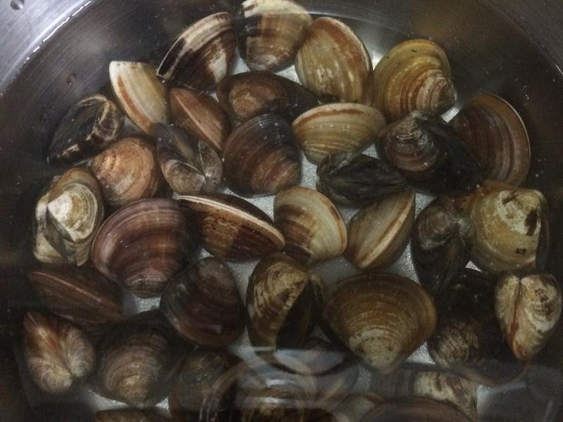 ������۹���������������