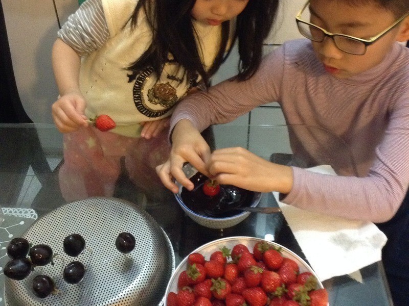 �����ݮ�ɿ��� (��ݮ�Ͱ�ӥ������ )������