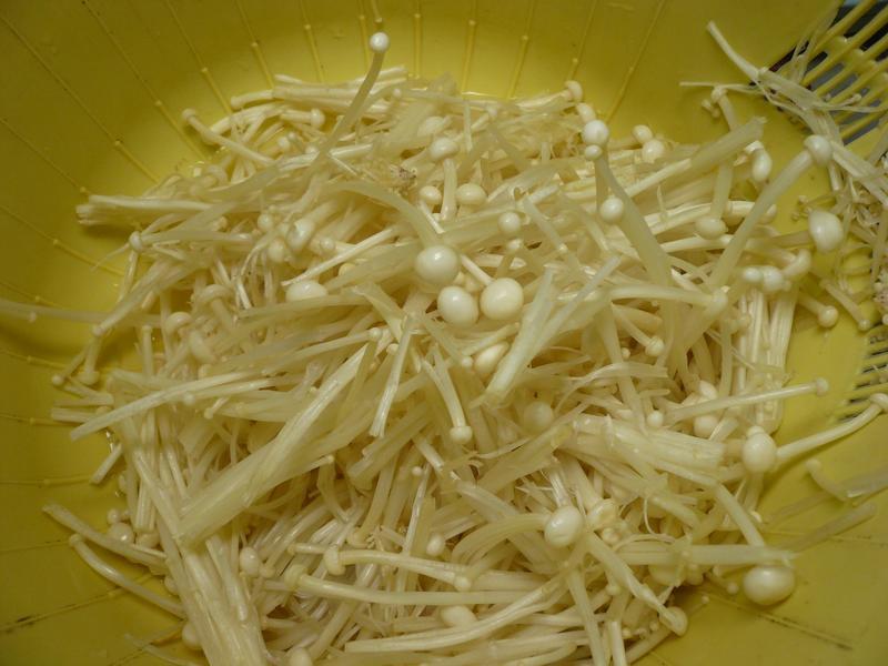 ѼѪ������������