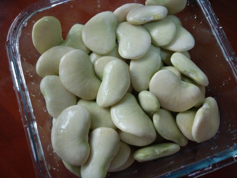 ���λʵ۶�������