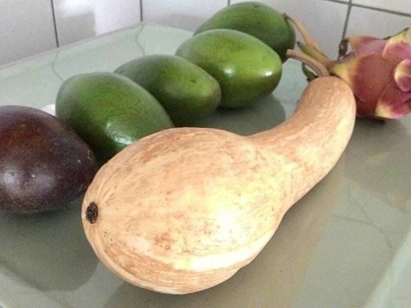 ���� ��������ţ�̵�����