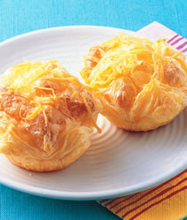 ��Ƥ��ܽ������