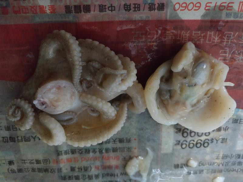 ̩ʽ�������������