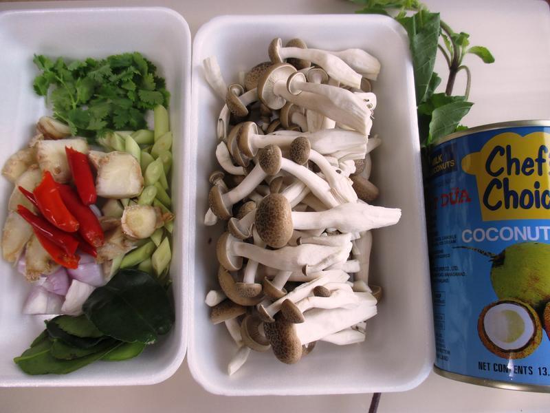 ̩ʽ����Ҭ�̼���������