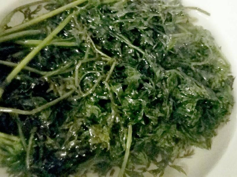 ����ѩ��������