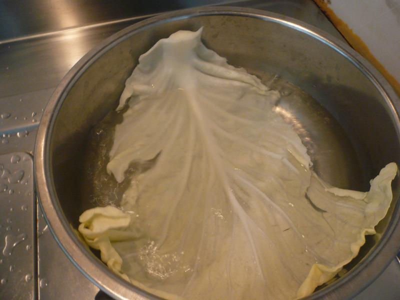 �����������������������ˡ�������