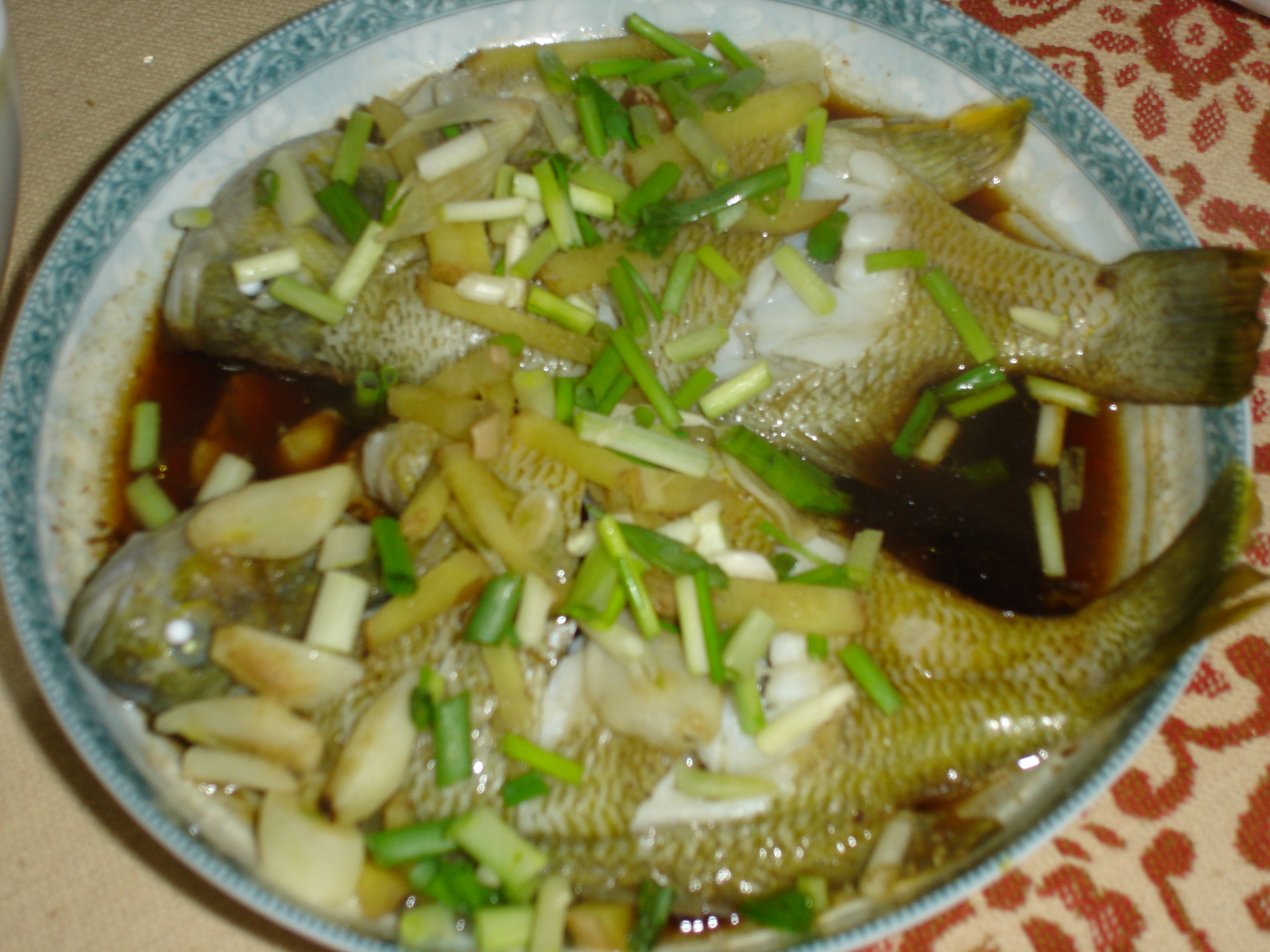 ����̫���������