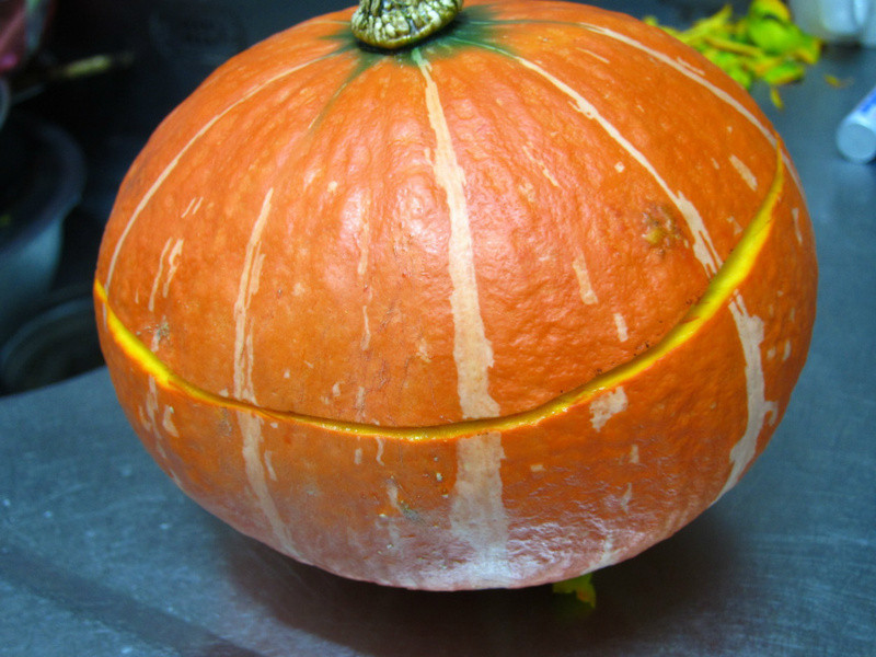 �ϹϺ�̦���ֱ�������