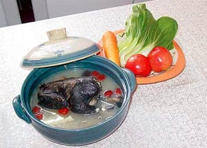 ҩ���ڹǼ�������