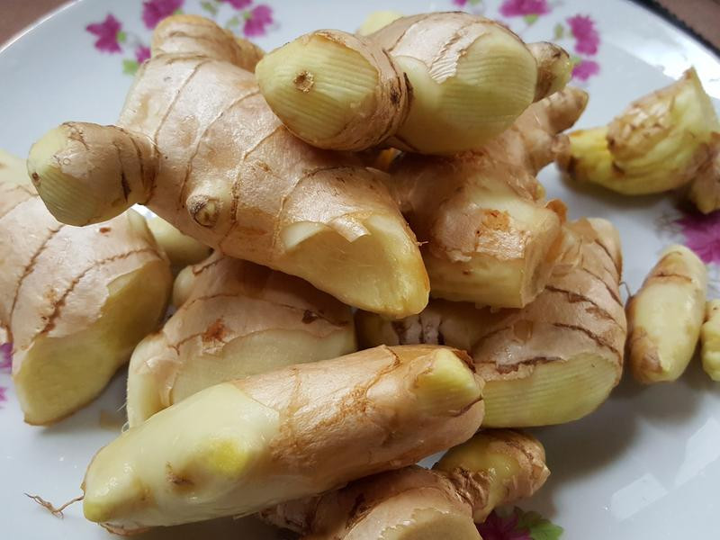 ��Բ���ǽ�Ƭ������