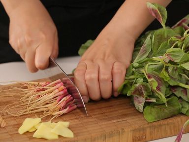 �����Ȳ���Ƭ��������