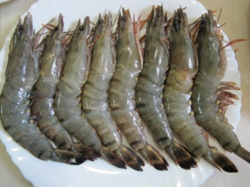 ���齴Ϻ�ʵ�����