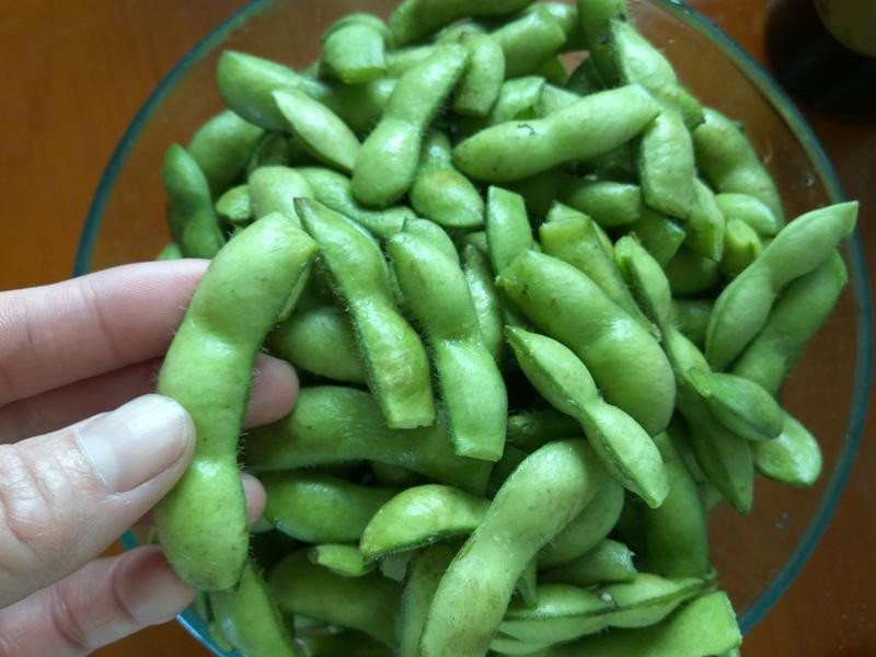 ����ë���¾Ʋ˵�����