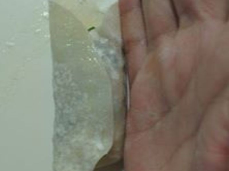 ���׻�������