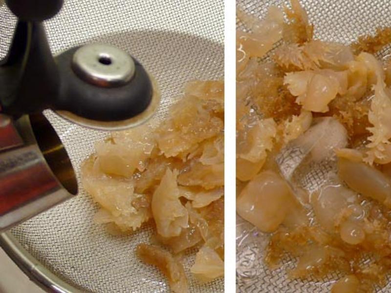 ���ľ����ͷ������